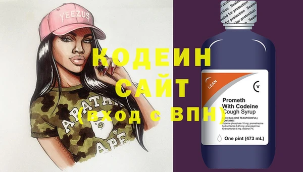 шишки Каменногорск