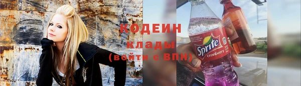 шишки Каменногорск