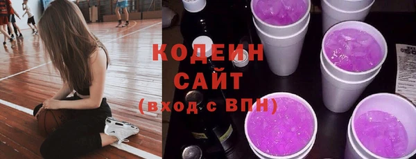 шишки Каменногорск