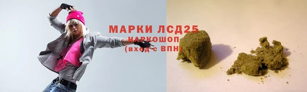 шишки Каменногорск