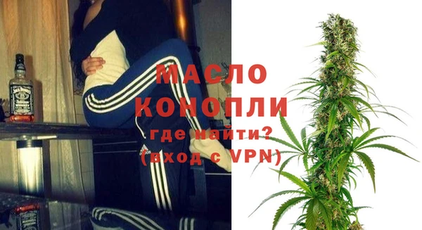 шишки Каменногорск
