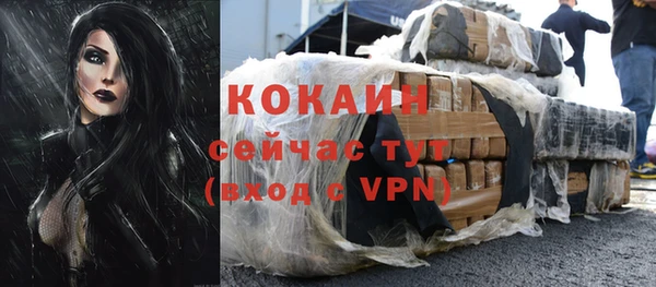 шишки Каменногорск