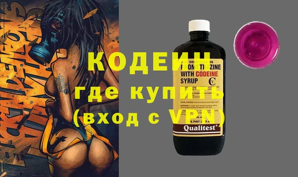 шишки Каменногорск