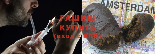 шишки Каменногорск