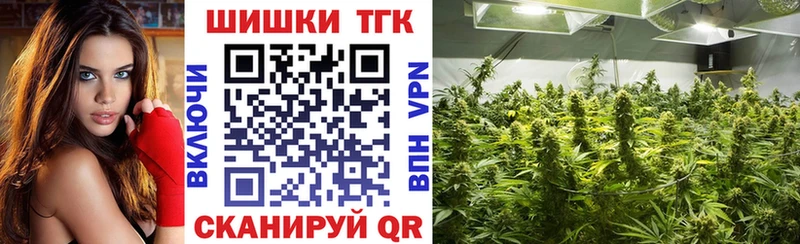Купить закладки  Севск  Канабис VHQ 